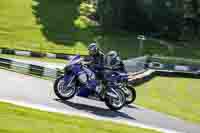 cadwell-no-limits-trackday;cadwell-park;cadwell-park-photographs;cadwell-trackday-photographs;enduro-digital-images;event-digital-images;eventdigitalimages;no-limits-trackdays;peter-wileman-photography;racing-digital-images;trackday-digital-images;trackday-photos